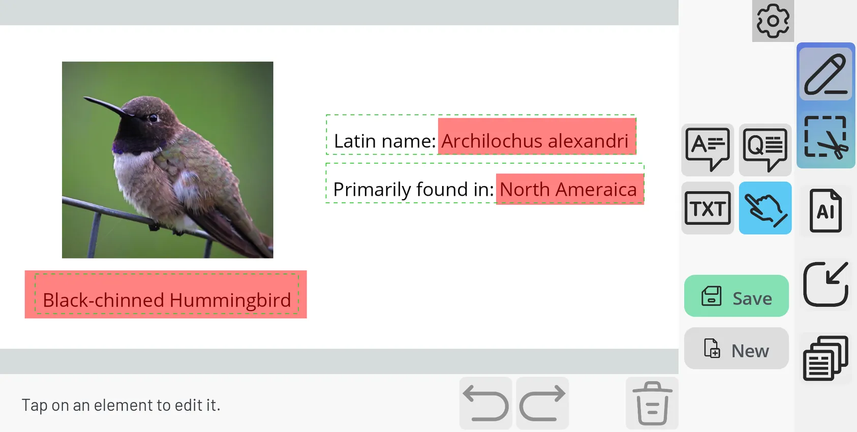 Flashcard Editor Screenshot