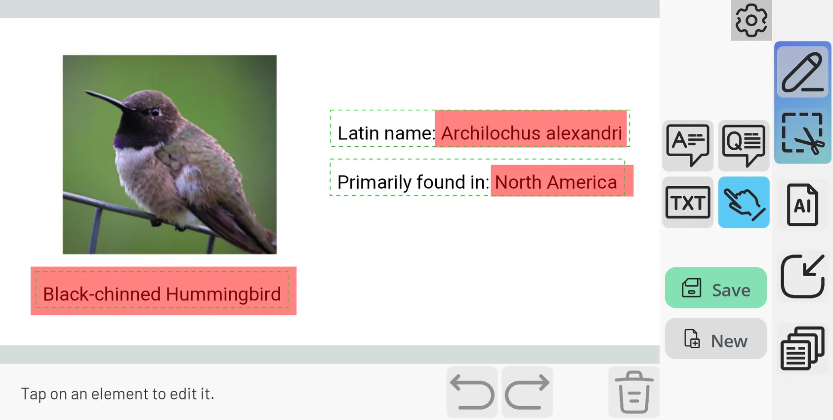 Flashcard Editor Screenshot