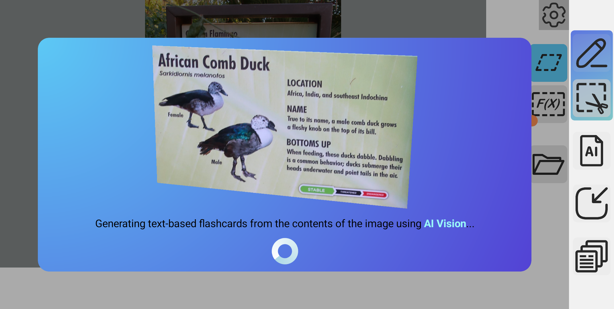 Generate Flashcards with Image